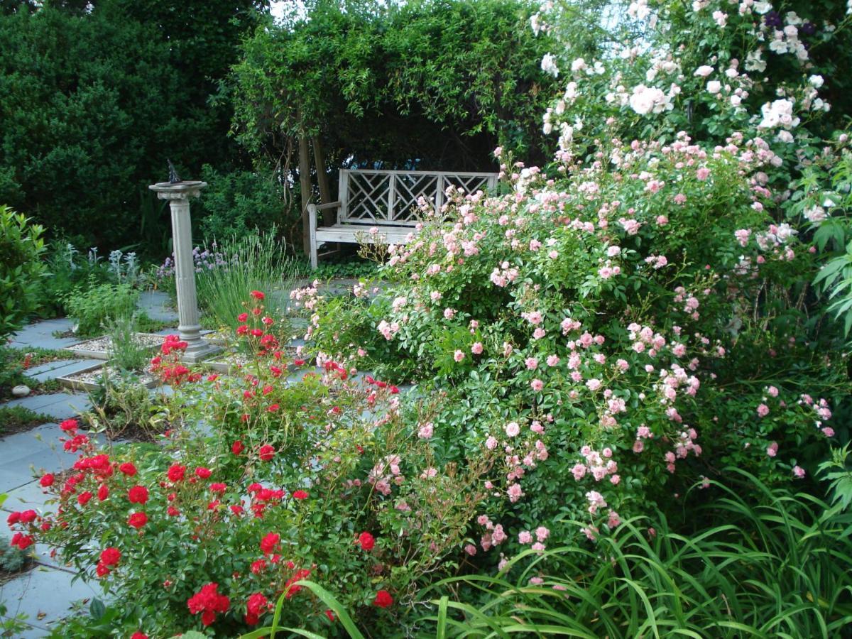 Newport House Bed & Breakfast Williamsburg Exterior foto